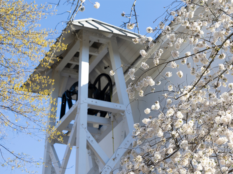 Admissions Statistics & Resources