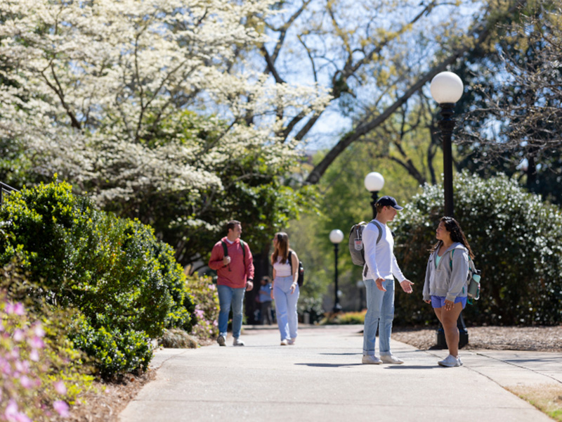 Students walk and talk along a sunny, tree‑lined campus pathway. Spring blooms and greenery surround the sidewalk, and classic globe-style lampposts line the path as people with backpacks pass by.