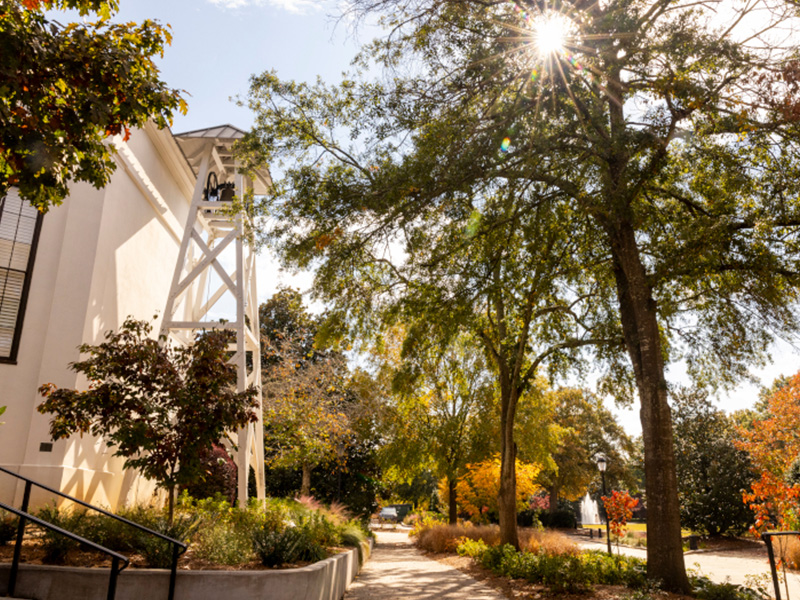 bell A large tree with green and autumn-colored leaves stands beside a white building with a bell tower, under a bright blue sky on a sunny day. Shrubs and colorful foliage fill the background.