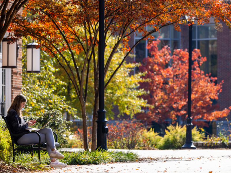 A person sits on a bench under trees with autumn foliage, looking at their phone. Sunlight filters through the leaves, and red and orange trees are visible in the background near a building.