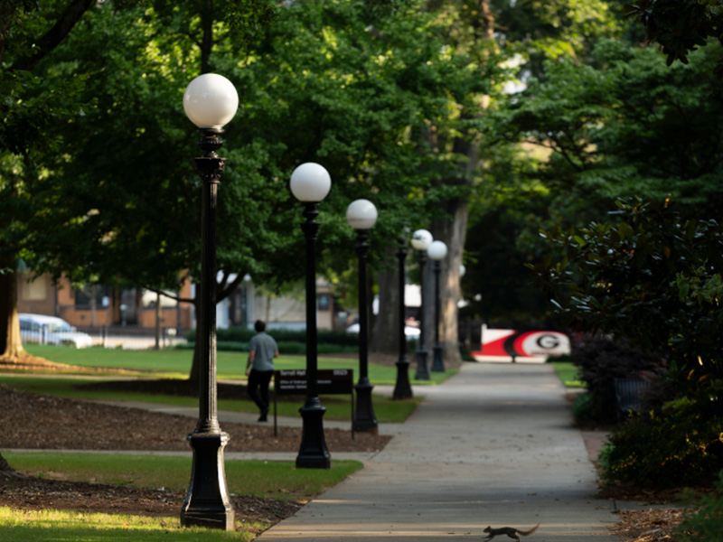 A tree‑lined campus walkway stretches into the distance, bordered by a row of classic black lampposts topped with white globes. Lush green grass and mature trees frame the path, and a person walks along the sidewalk in the middle ground. Farther down the path, a large red‑and‑black “G” graphic stands near the entrance to another area of campus.