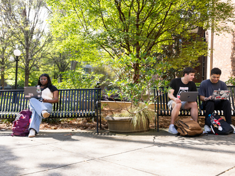 students Students sit on outdoor benches in a shaded campus area, working on laptops. A large planter with greenery sits between the benches, and tall trees with bright green leaves create a leafy backdrop. Backpacks rest on the ground near the benches, and sunlight filters through the branches, giving the scene a relaxed, studious atmosphere.