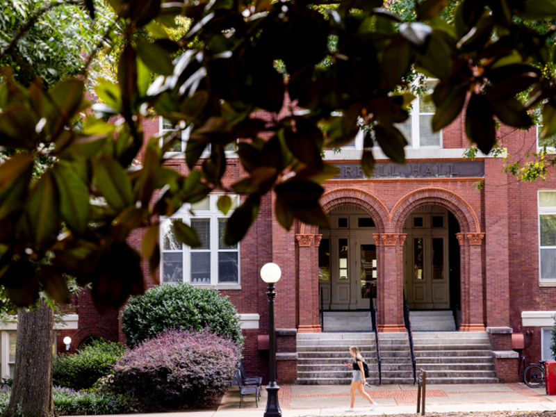 Former UGA Undergraduate
