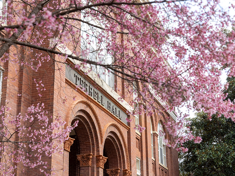 terrell Pink flowering branches frame the front of Terrell Hall, a historic red‑brick building with arched entryways and decorative architectural details. The blossoms create a vibrant foreground, while the building’s stone signage and tall windows are partially visible through the spring foliage.
