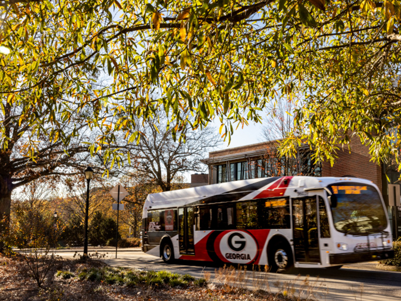 A campus bus with a red, black, and white design and a large Georgia “G” logo drives along a tree‑lined road on a sunny day. Autumn-colored leaves frame the top of the image, and a brick building with large windows stands in the background. The scene captures a quiet moment of campus transit surrounded by warm, natural light.