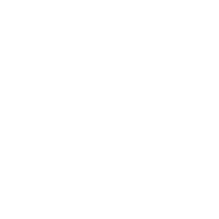 graphic of the state of Georgia