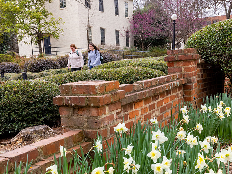 Online Undergraduate Degree Programs