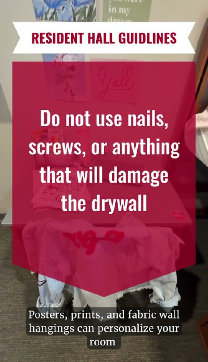 dorm room rules graphic